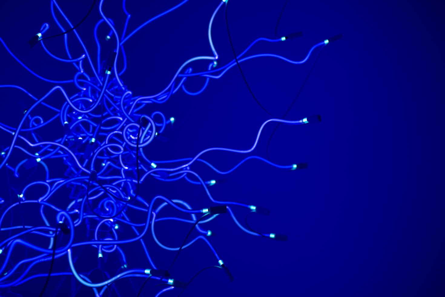 The Future of Distributed Mesh Networking